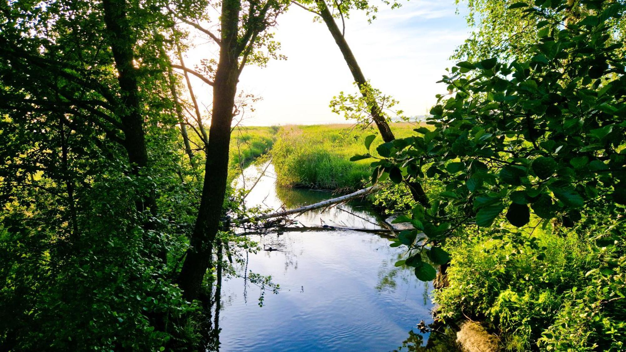 Cofy Rentals - Centrally Located, Quiet District, Air-Conditioning, Free Parking, 24-7 Express Check-In-Out, Close To Sea And Everything You Need For Living! Tallinn Extérieur photo